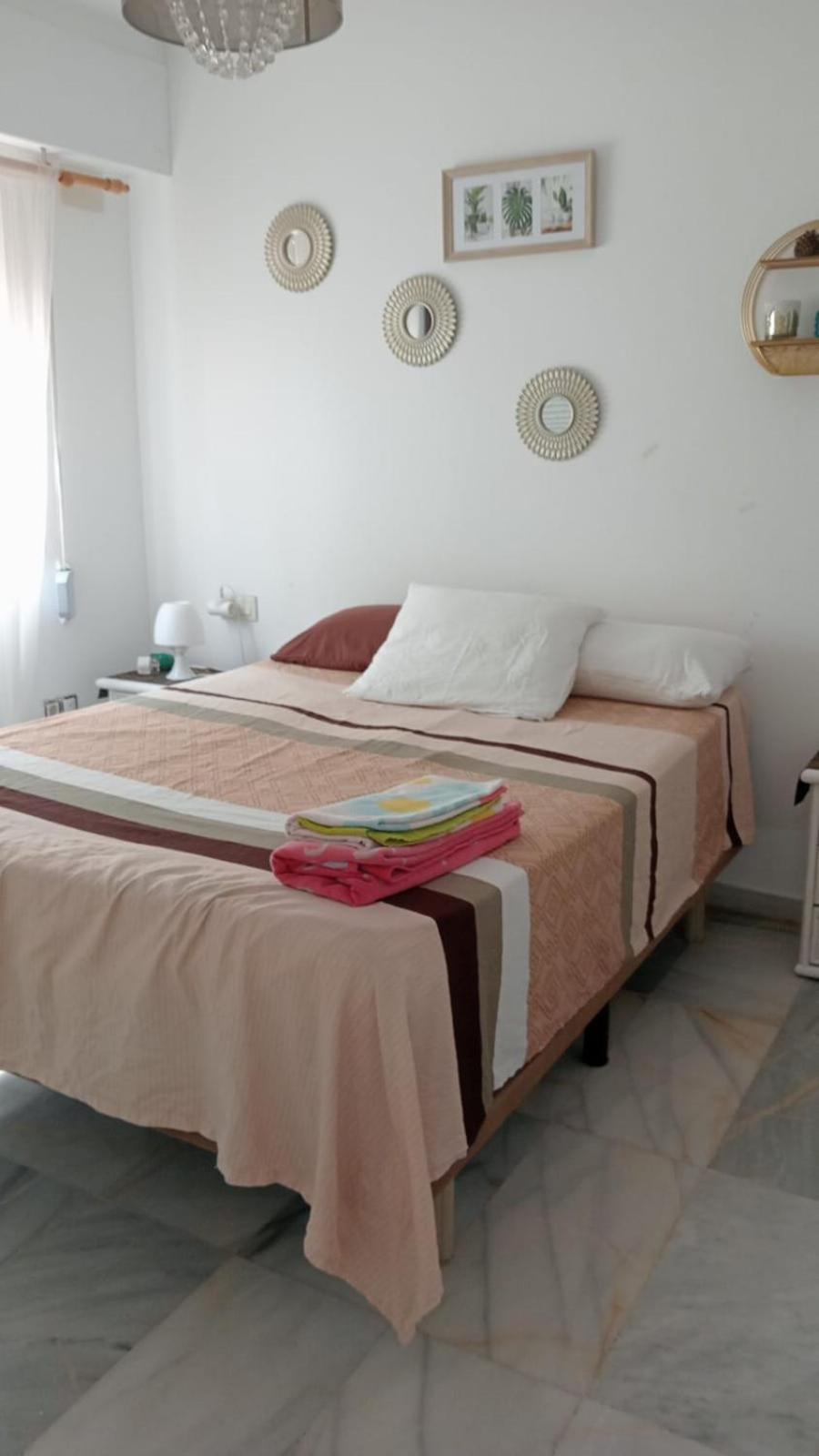 Apartamento Con Wifi, Mascotas Bienvenidas 貝尼多姆 外观 照片